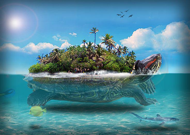 The turtle who held Earth on his back |Karuwaki speaks