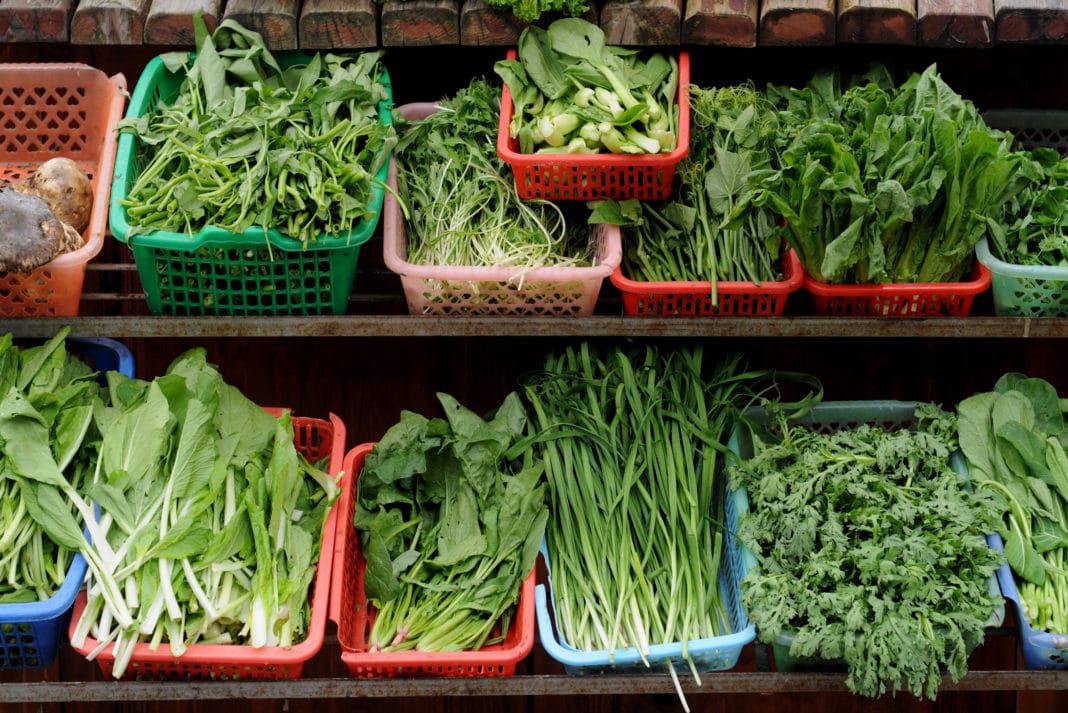 Why eating Greens is so important|Karuwakispeaks